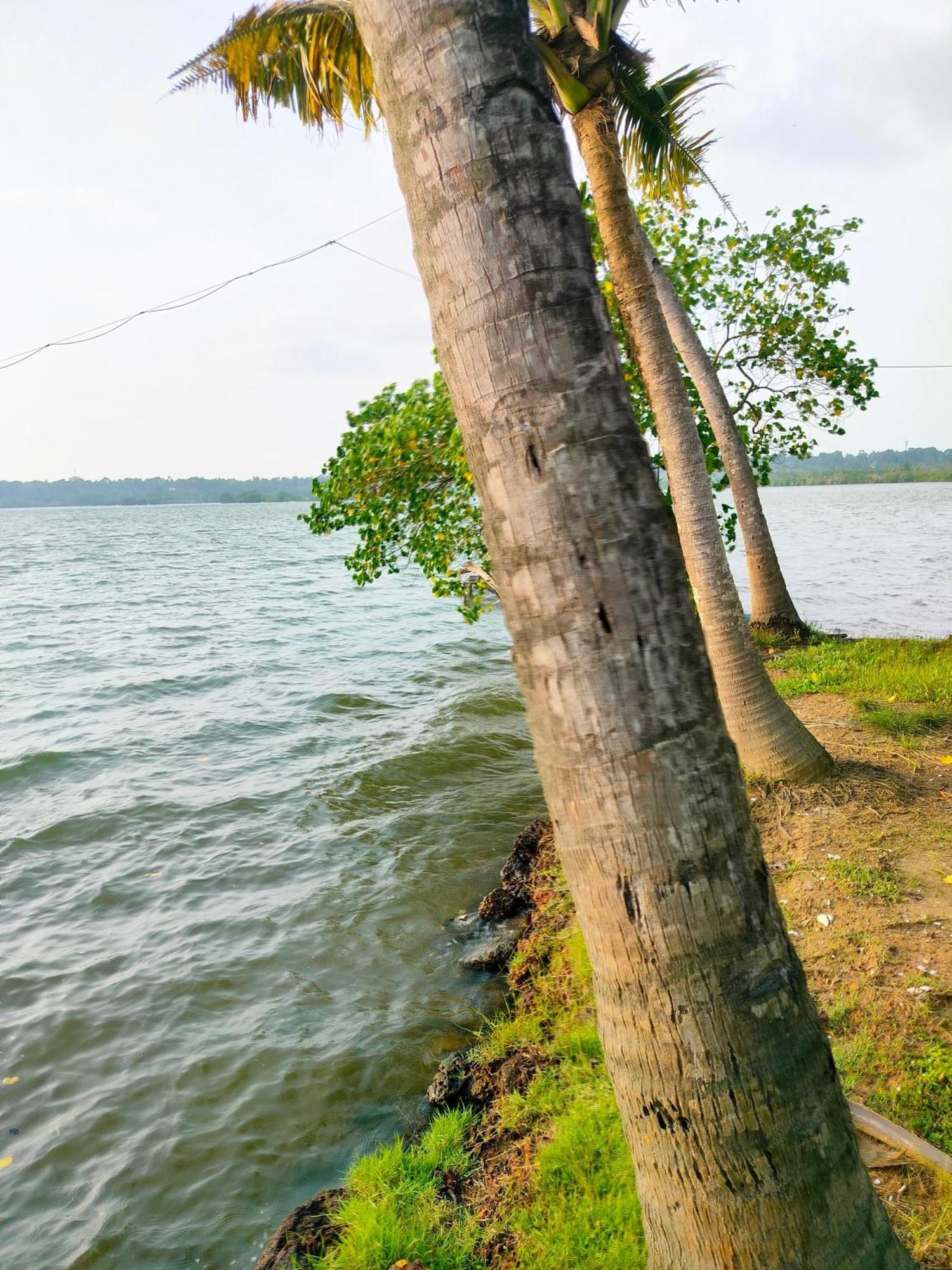Munroe Inn Homestay Kollam Zewnętrze zdjęcie